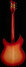 Rickenbacker 330/6 , Fireglo: Full Instrument - Rear