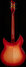 Rickenbacker 330/6 , Fireglo: Full Instrument - Rear