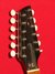 Rickenbacker 450/12 Mod, Black: Close up - Free2