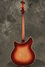 Rickenbacker 366/12 , Fireglo: Full Instrument - Rear