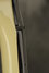 Rickenbacker 360/6 WB BH BT, LMC Light Mocha Cream: Close up - Free2