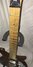 Rickenbacker 650/6 Dakota, Natural Walnut: Neck - Front