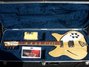 Rickenbacker 360/6 WB VP, Mapleglo: Full Instrument - Front