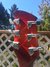 Rickenbacker 620/6 , Fireglo: Headstock - Rear
