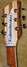Rickenbacker 360/6 , Mapleglo: Headstock