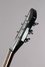 Rickenbacker 360/6 , Jetglo: Close up - Free