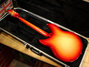 Rickenbacker 330/6 , Fireglo: Full Instrument - Rear