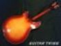 Rickenbacker 360/12 V64, Fireglo: Full Instrument - Rear
