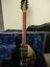 Rickenbacker 325/6 V59, Jetglo: Full Instrument - Front