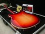 Rickenbacker 360/6 VB, Fireglo: Full Instrument - Rear