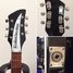 Rickenbacker 325/6 , Jetglo: Close up - Free