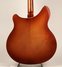 Apr 1979 Rickenbacker 360/6 , Autumnglo: Body - Rear