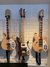 Rickenbacker 4003/4 , Walnut: Free image2