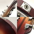 Rickenbacker 330/6 , Fireglo: Close up - Free