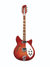 Rickenbacker 360/12 , Fireglo: Full Instrument - Front