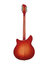 Rickenbacker 360/12 , Fireglo: Full Instrument - Rear