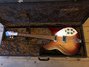 Rickenbacker 330/6 , Fireglo: Full Instrument - Front