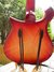 Feb 2015 Rickenbacker 660/12 , Fireglo: Body - Rear