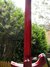 Rickenbacker 660/12 , Fireglo: Neck - Rear