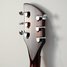 Rickenbacker 330/6 , MonteBrown: Headstock - Rear