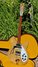 Rickenbacker 336/12 , Mapleglo: Full Instrument - Front