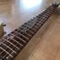 Rickenbacker 320/6 BT, White: Neck - Front