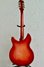 Rickenbacker 330/12 , Fireglo: Full Instrument - Rear