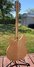 Rickenbacker 330/12 , Mapleglo: Full Instrument - Rear