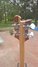 Rickenbacker 4003/4 , Natural Walnut: Headstock - Rear