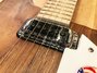 Rickenbacker 360/6 , Natural Walnut: Free image