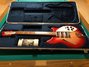 Rickenbacker 370/6 , Fireglo: Full Instrument - Front