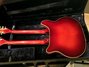 Rickenbacker 362/612 Doubleneck, Fireglo: Full Instrument - Rear