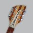 Rickenbacker 330/6 , Mapleglo: Headstock