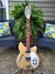 Rickenbacker 360/12 , Mapleglo: Full Instrument - Front