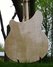 Jan 1998 Rickenbacker 370/12 , Mapleglo: Body - Rear