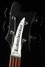 Rickenbacker 4003/4 S, Matte Black: Headstock