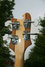 Rickenbacker 4003/4 , Mapleglo: Headstock - Rear