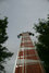 Rickenbacker 4003/4 , Mapleglo: Neck - Front