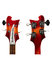 Rickenbacker 4003/4 , Amber Fireglo: Headstock