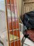Rickenbacker 4001/4 , Mapleglo: Neck - Front