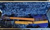 Rickenbacker 2030/4 , Midnightblue: Free image2