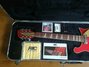 Rickenbacker 660/12 , Ruby: Neck - Front
