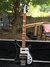 Rickenbacker 4003/4 , Jetglo: Full Instrument - Front