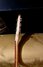 Rickenbacker 325/6 V63, Mapleglo: Free image2