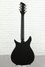 Rickenbacker 325/6 C64, : Full Instrument - Rear
