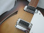 Rickenbacker 360/12 , MonteBrown: Free image