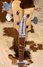 Rickenbacker 4001/4 Mod, Mapleglo: Neck - Front