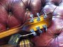 Rickenbacker 360/6 SPC, Walnut Burst: Headstock - Rear