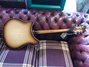Rickenbacker 360/6 SPC, Walnut Burst: Full Instrument - Rear