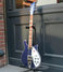 Rickenbacker 620/6 , Midnightblue: Free image